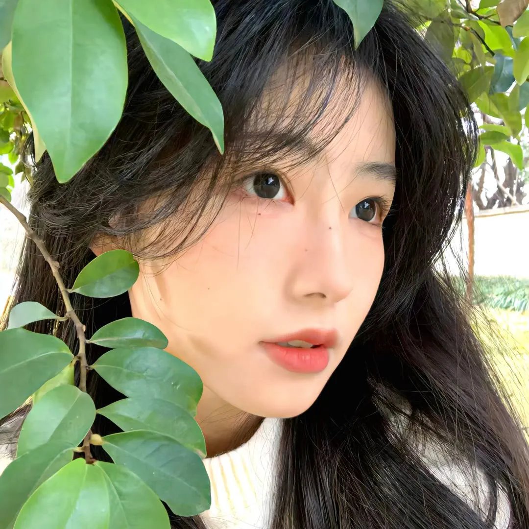 古老国度的传说